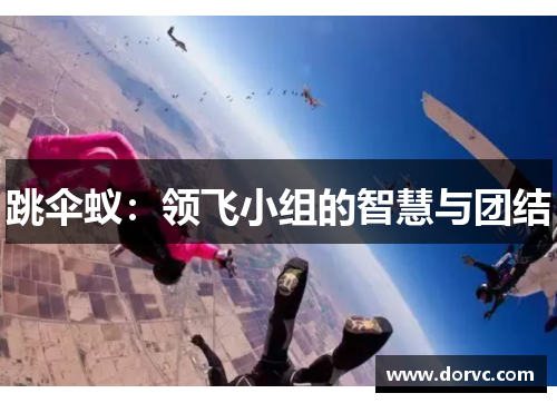 跳伞蚁：领飞小组的智慧与团结